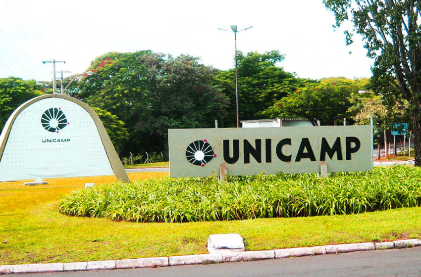 Unicamp 2018 A Figura Anterior Destaca Um Dominio